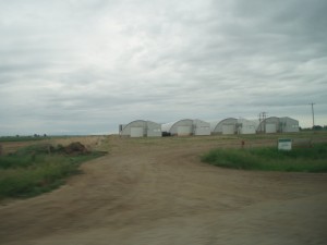 Four potato storage barns - each barn worth over $1 million!